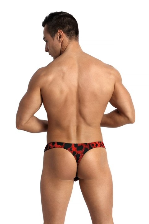 Stringi Model Savage Red - Anais Stringi Model Savage Red - Anais