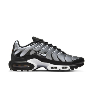 Buty sportowe Nike Air Max Plus Szare DM0032-003